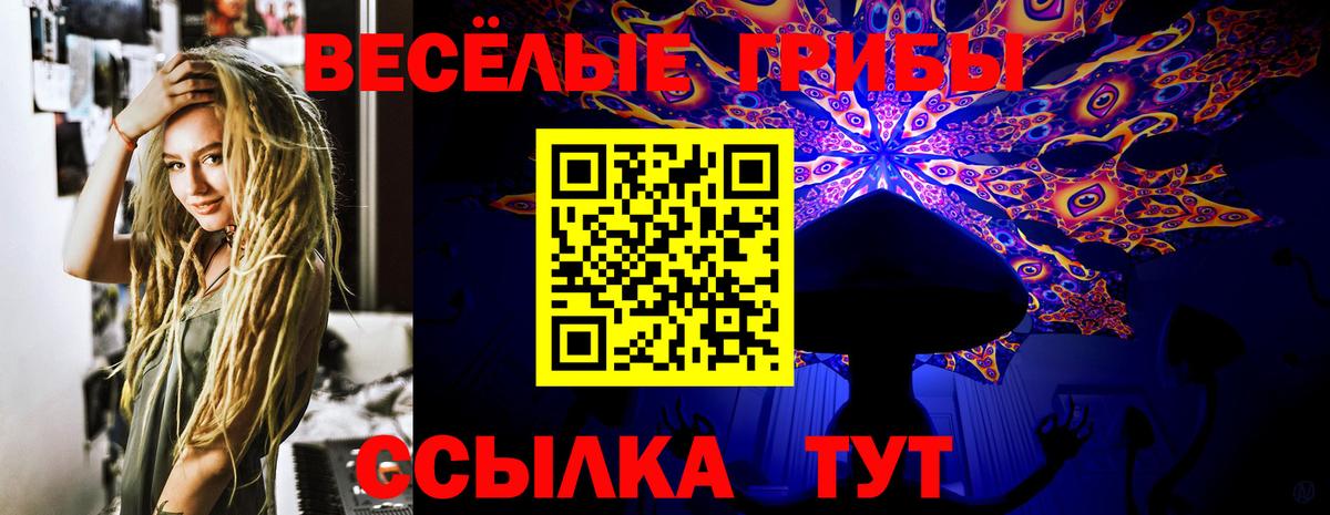 Псилоцибиновые грибы MAGIC MUSHROOMS Чита